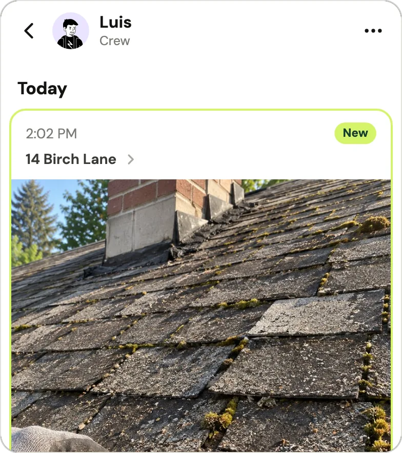 Luis's page in Handle: Today, a 2:02 PM post at 14 Birch Lane marked New, with a sample photo of an old mossy shingle roof by a chimney